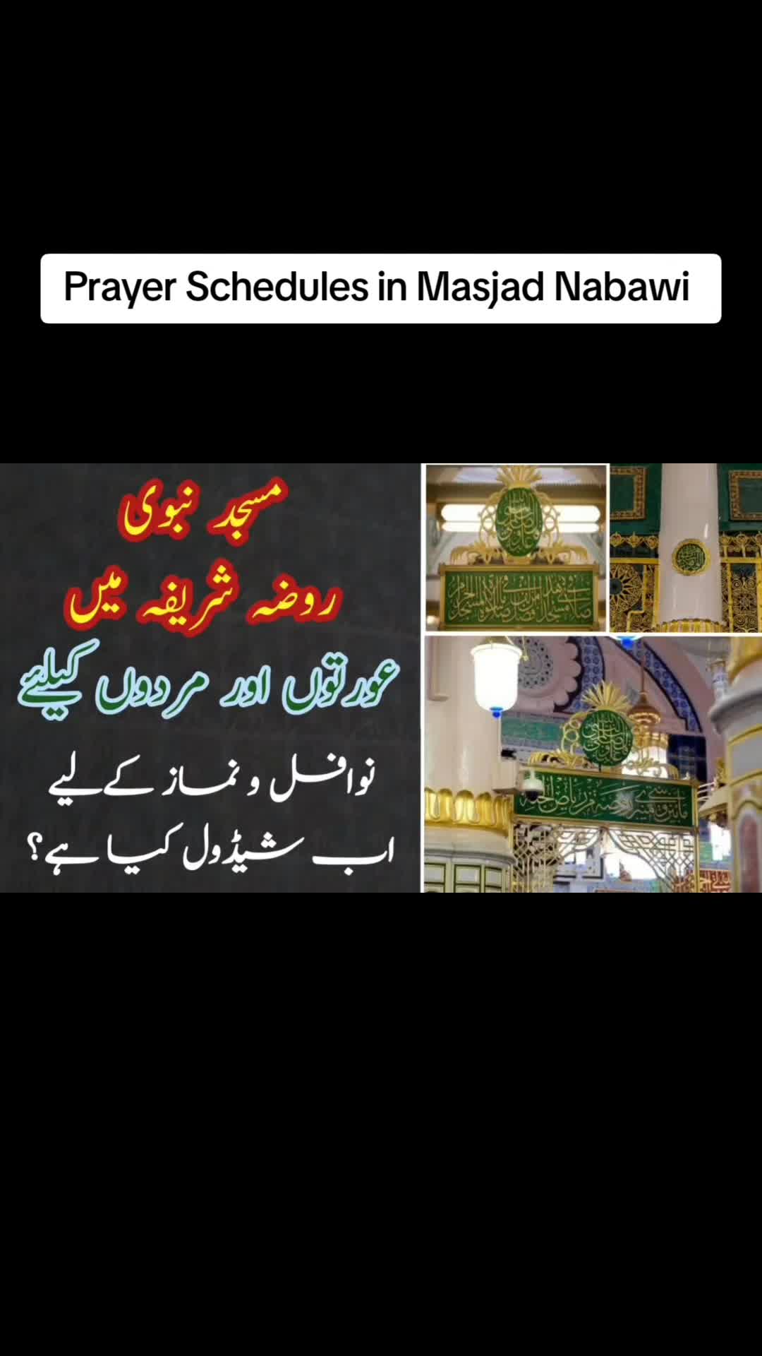 @MM Ashraf