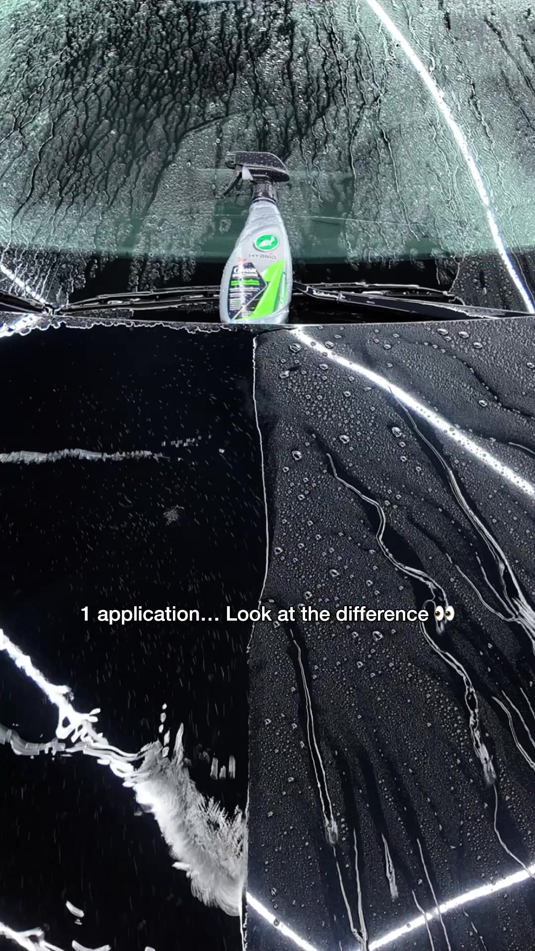 @Turtle Wax