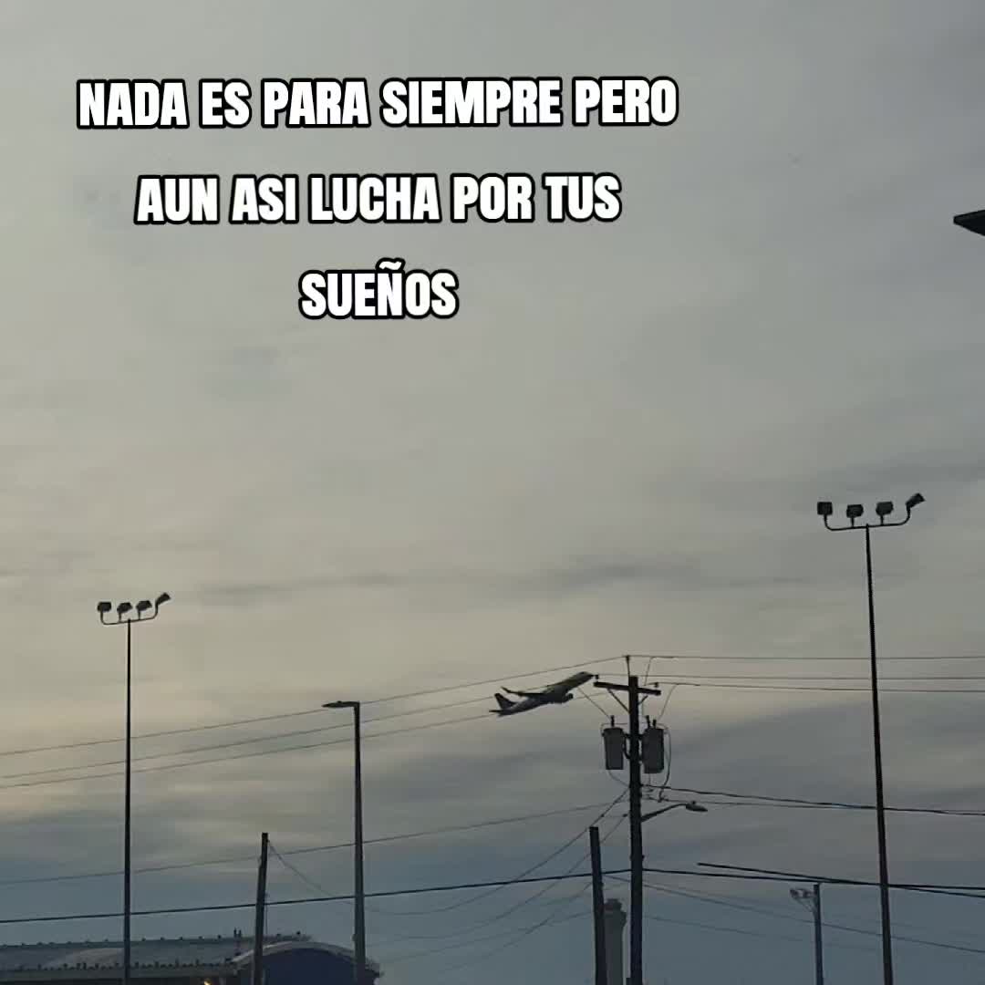 @Salazar 🐝🤍🇬🇹