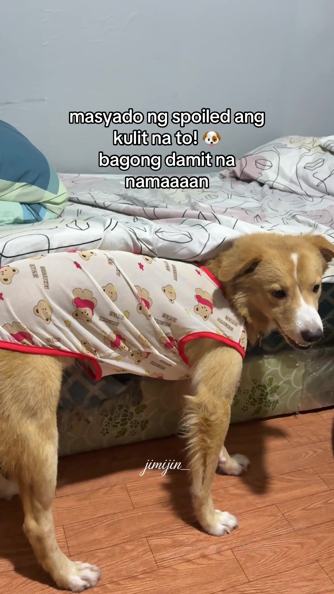 @jimijin⋆𖦹𓇼