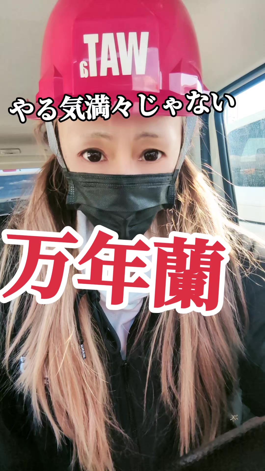 @&reg;️万年蘭🎼︎🤍