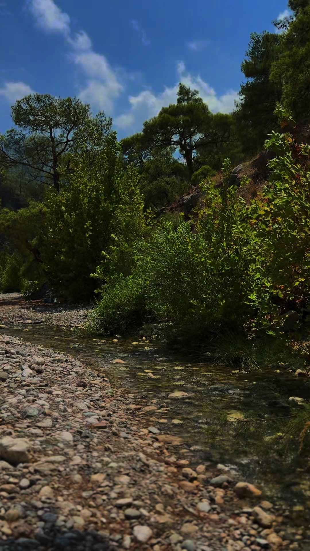 @Serdar Yıldız