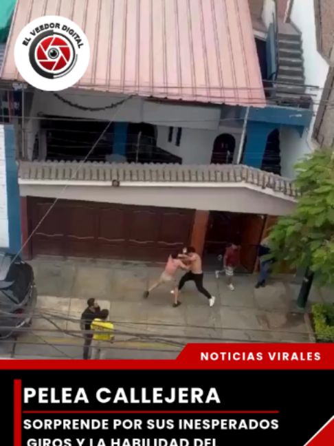 @elveedordigital
