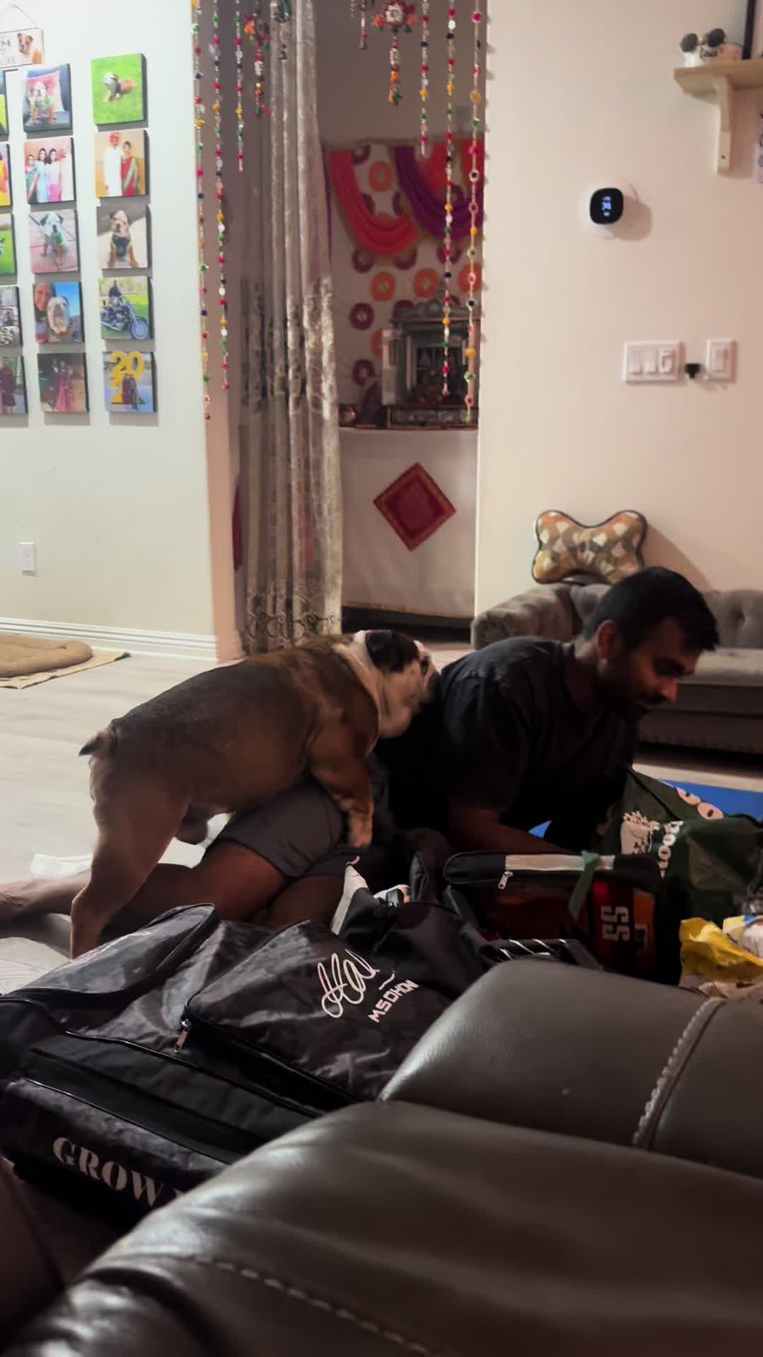 @Taco 🐶🧿