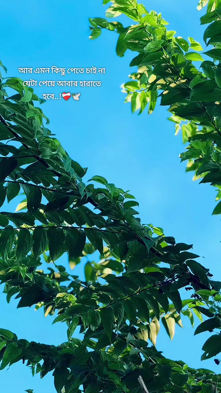 @đ§âī¸ FaRiađ§âī¸