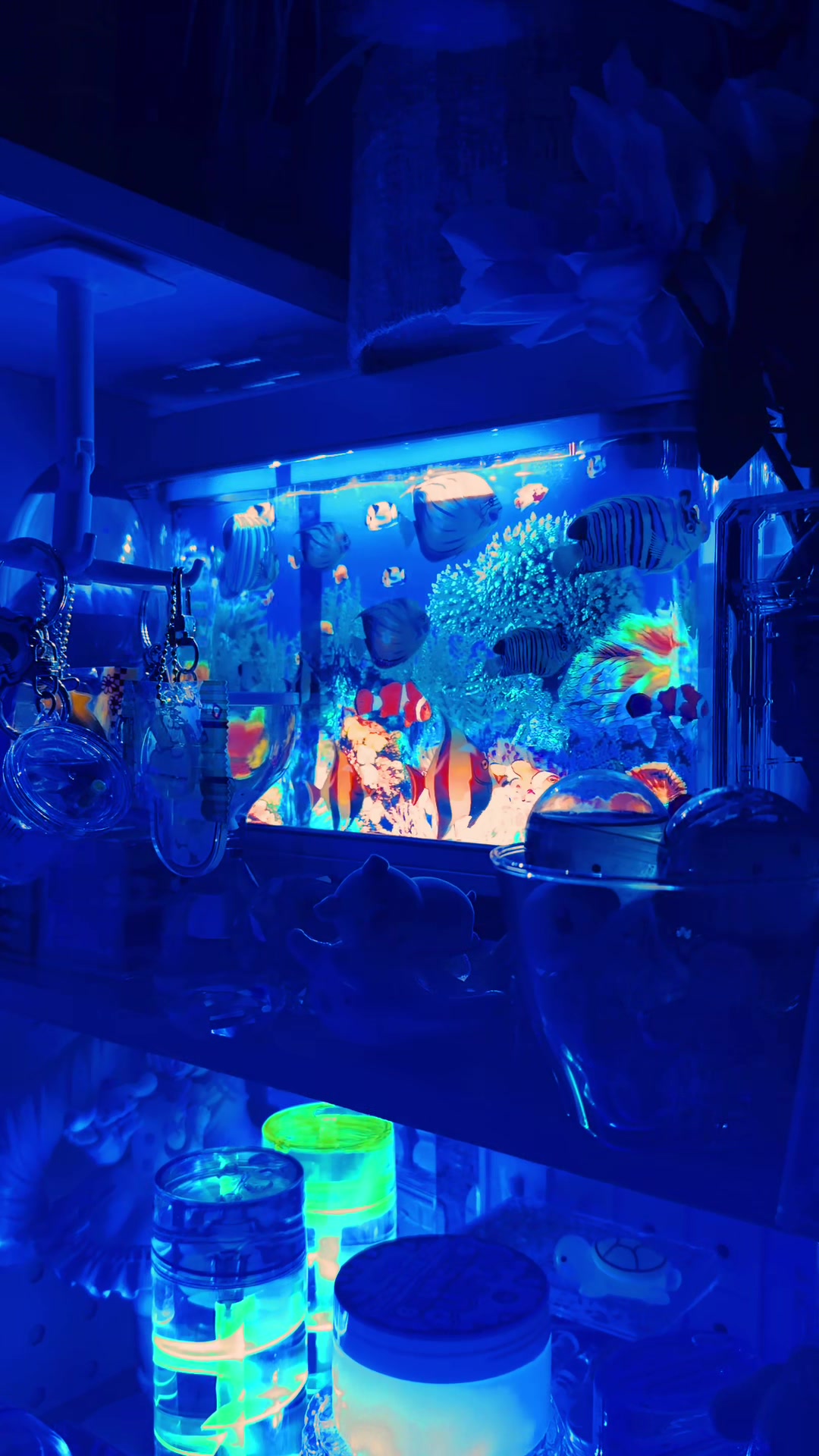 @aqua cat ๐๐ชผ