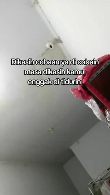 @Noviii