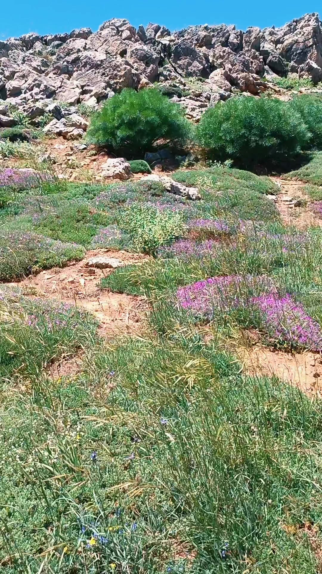 @DAĞCI.46