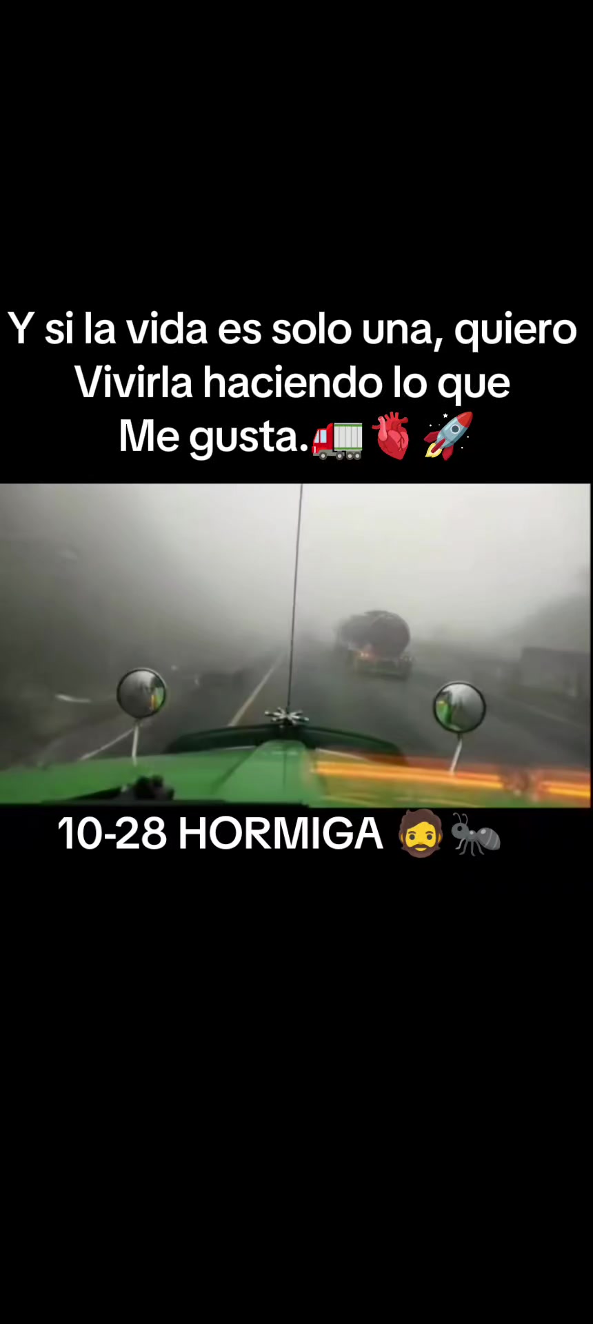 @10/28 Hormiga 0~0JM