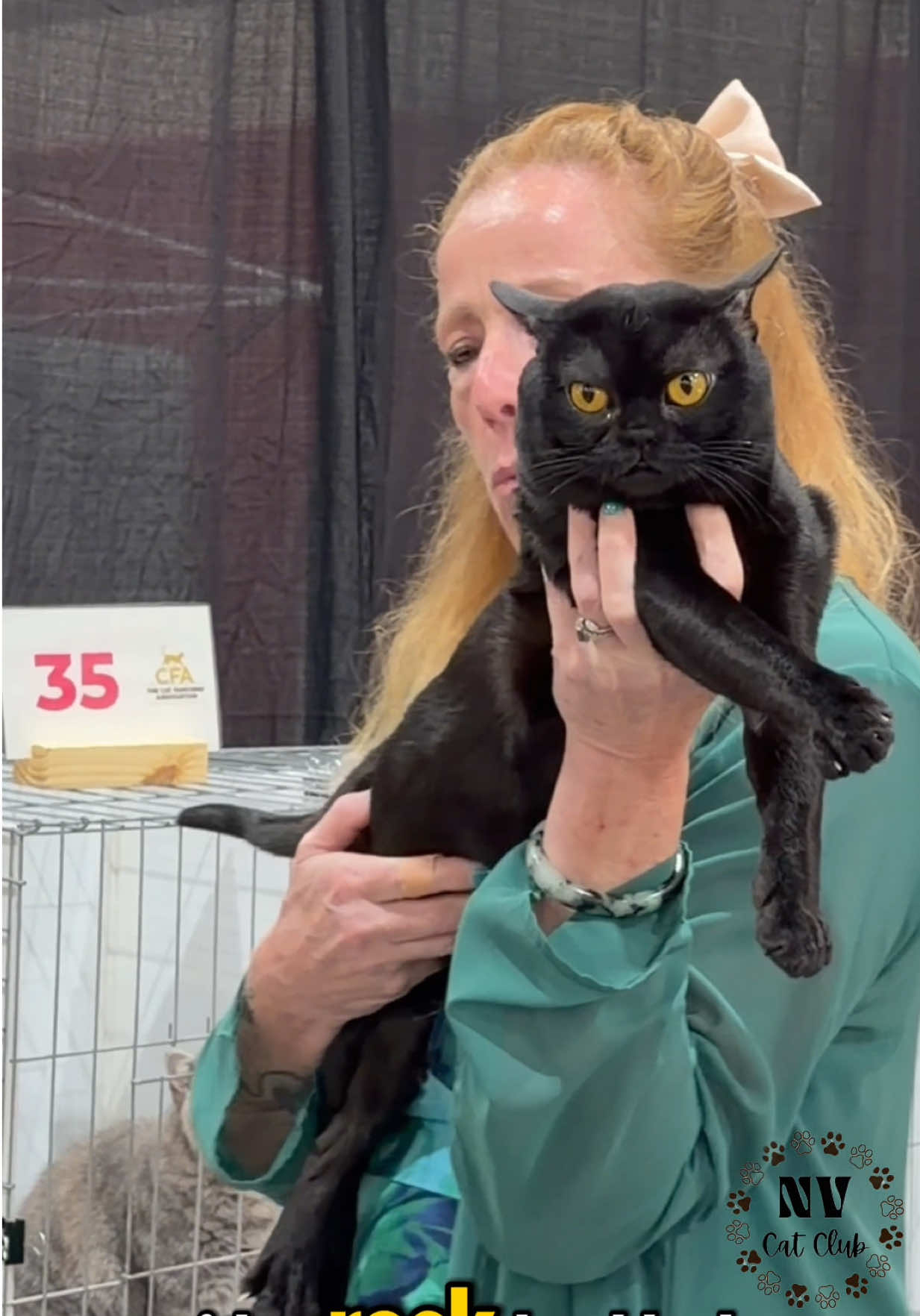 @NewVisionCatClub