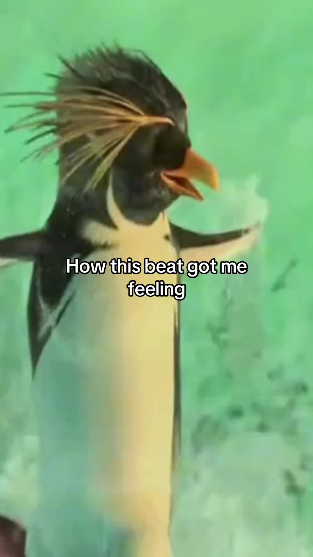 @ѕк&iota;