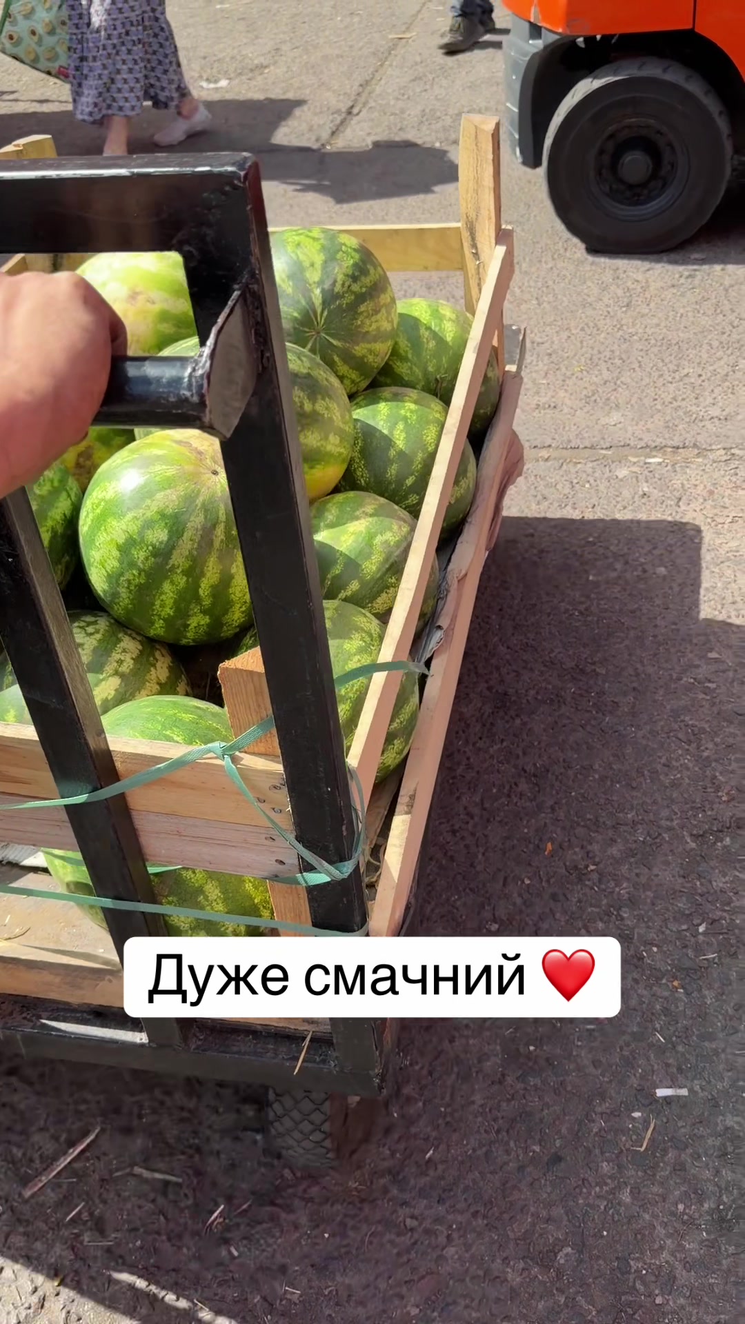 @Магазин «Авокадо» and Мурчік🐱