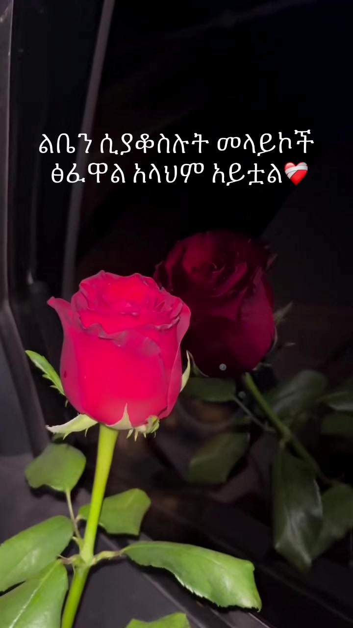 @Han🧸