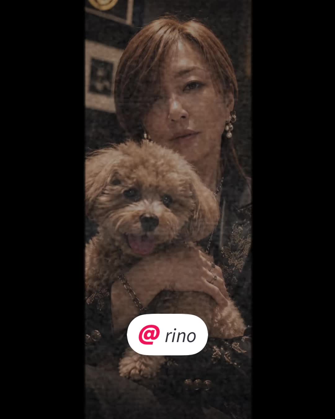 @Toshimi0923🐶🐾