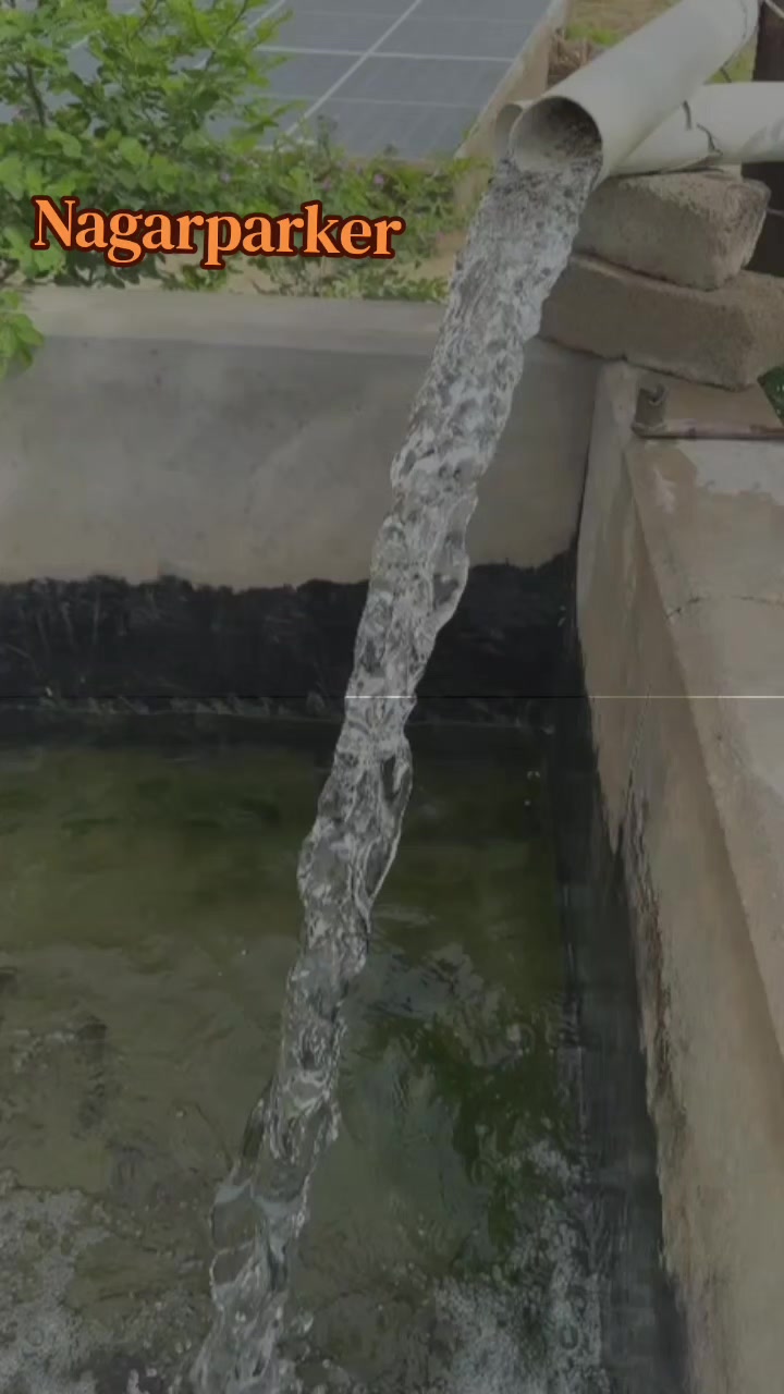 @RAMESH KOLHI LAKHANI  MAKWANA