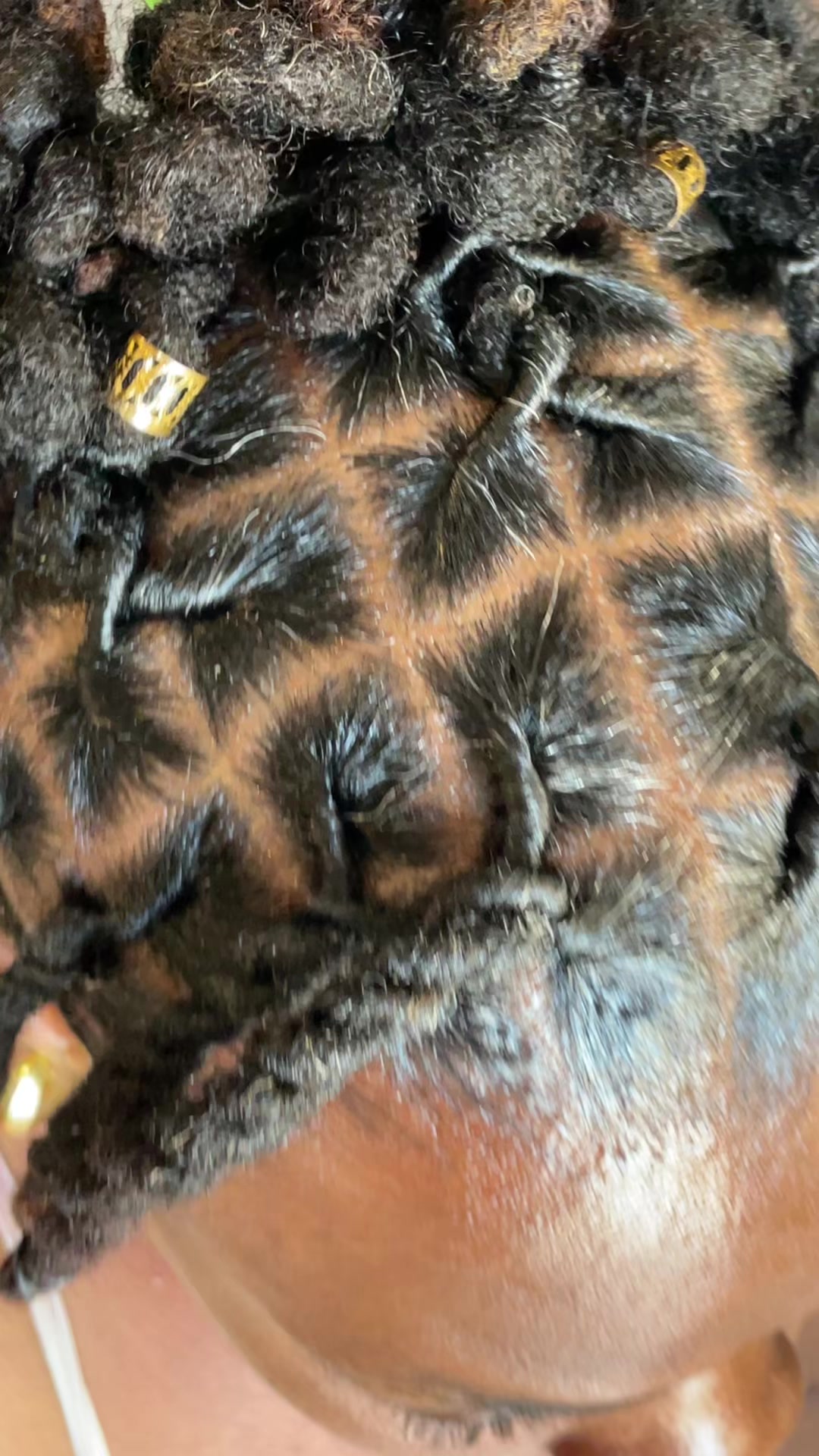 @Lovadreadlocks Okap📌