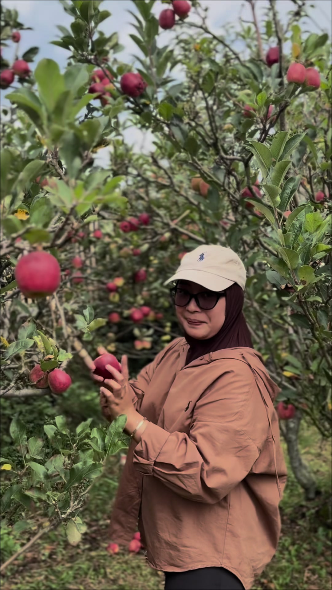 @Kebun8