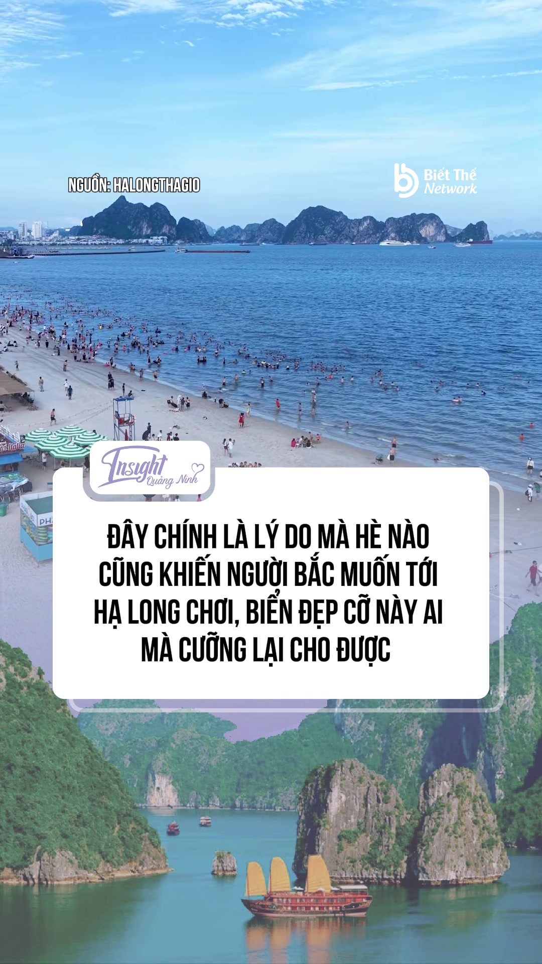 @Insight Quảng Ninh