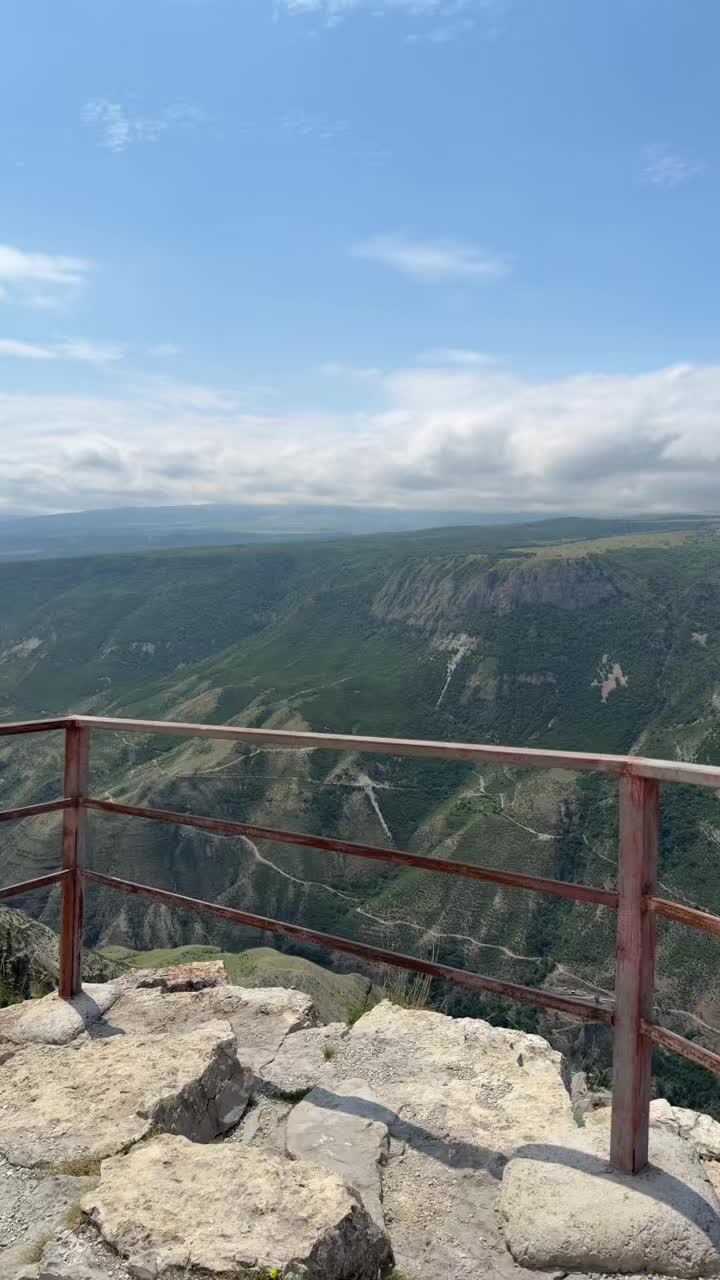 @new.novikovv