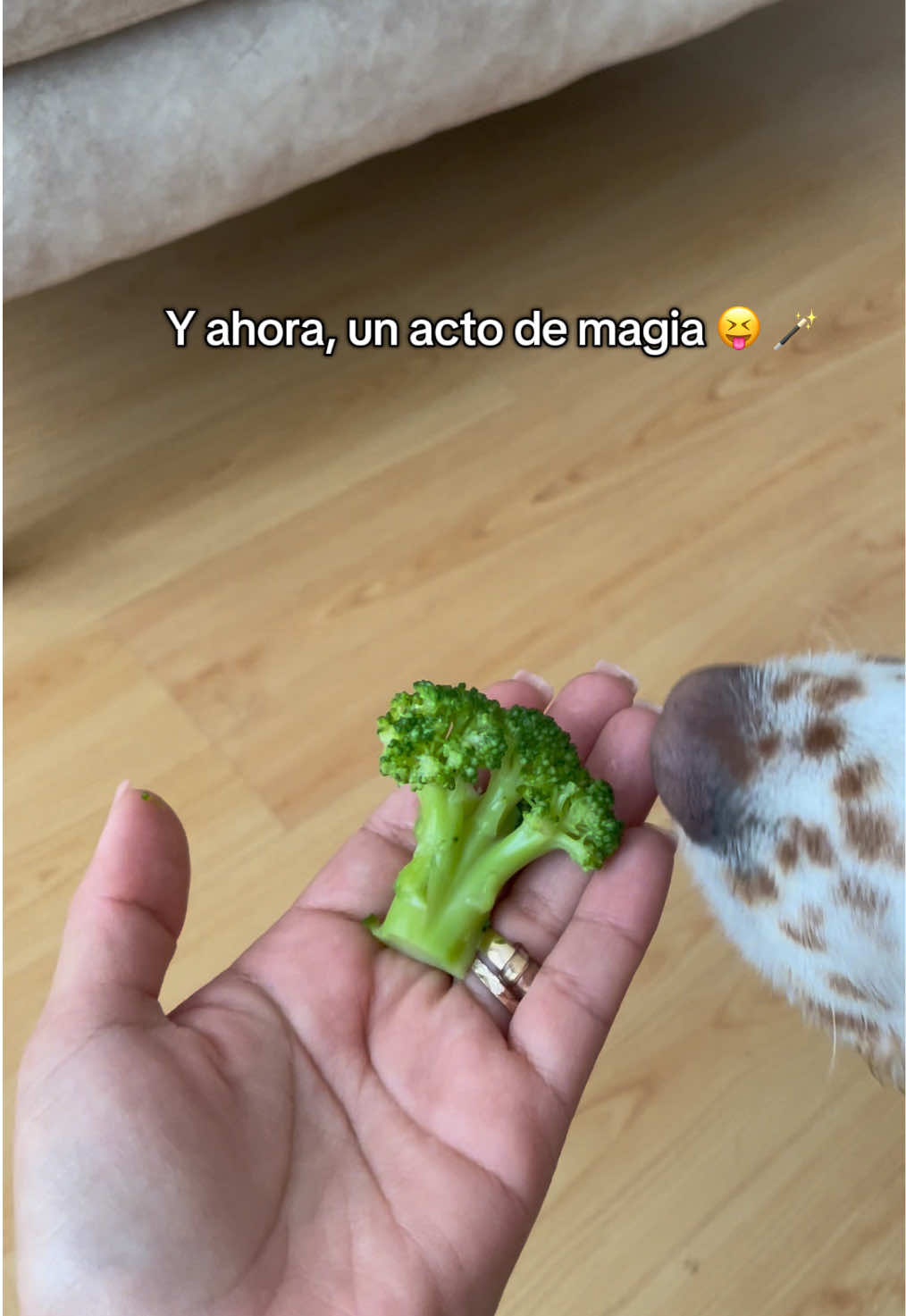 @Cecilia Vásquez