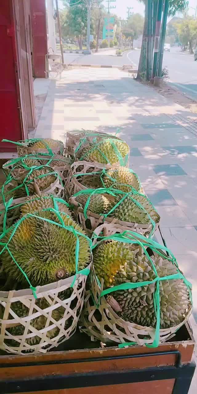 @Kenzhi Durian Tuban