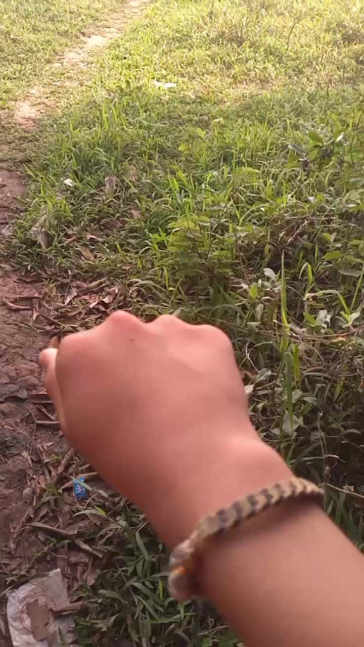 @Rinneganz_