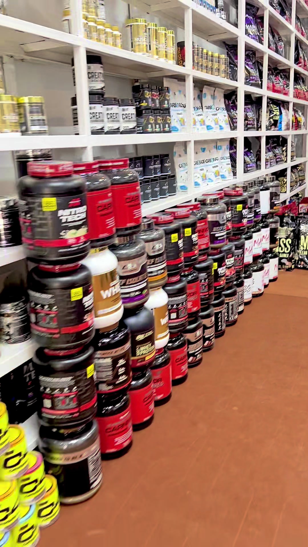 @Silver Fox Supplement