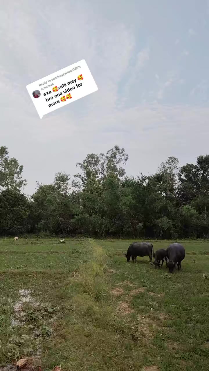 @亗YꫝDꫝVメSꫝRKꫝRᥫ᭡፝֟፝֟