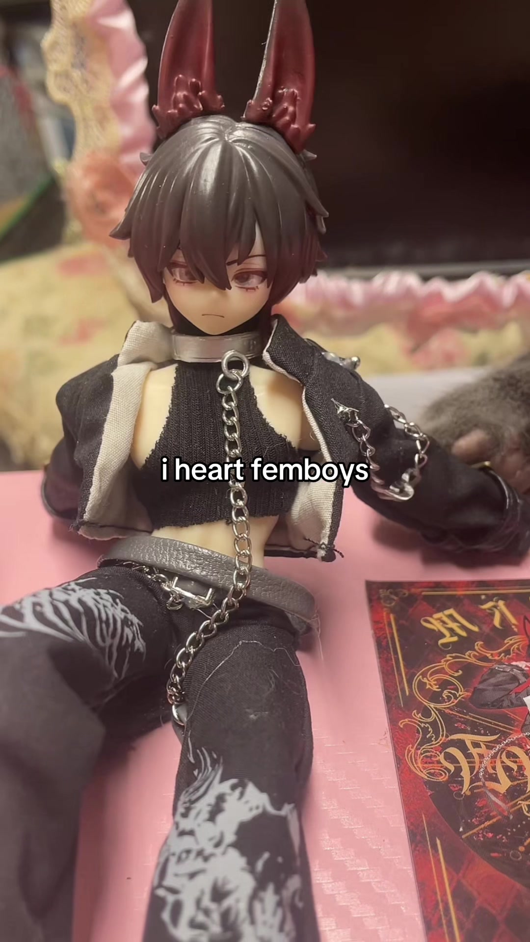 @猫
