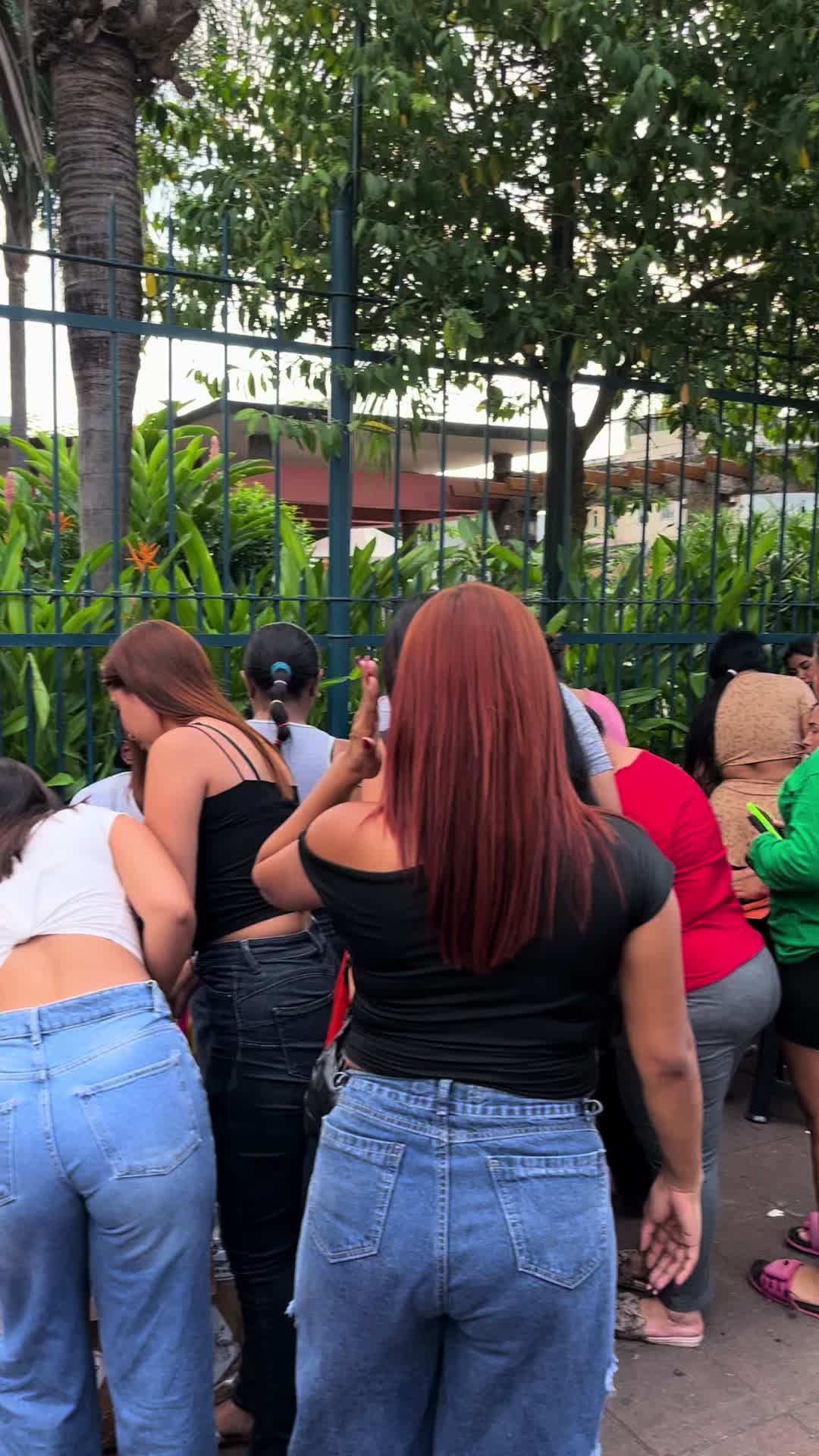 @M ii R K A 🐍