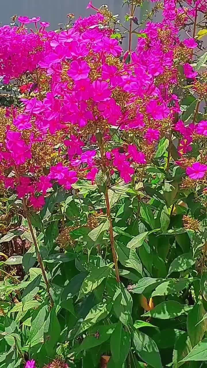 @@Useeer1234