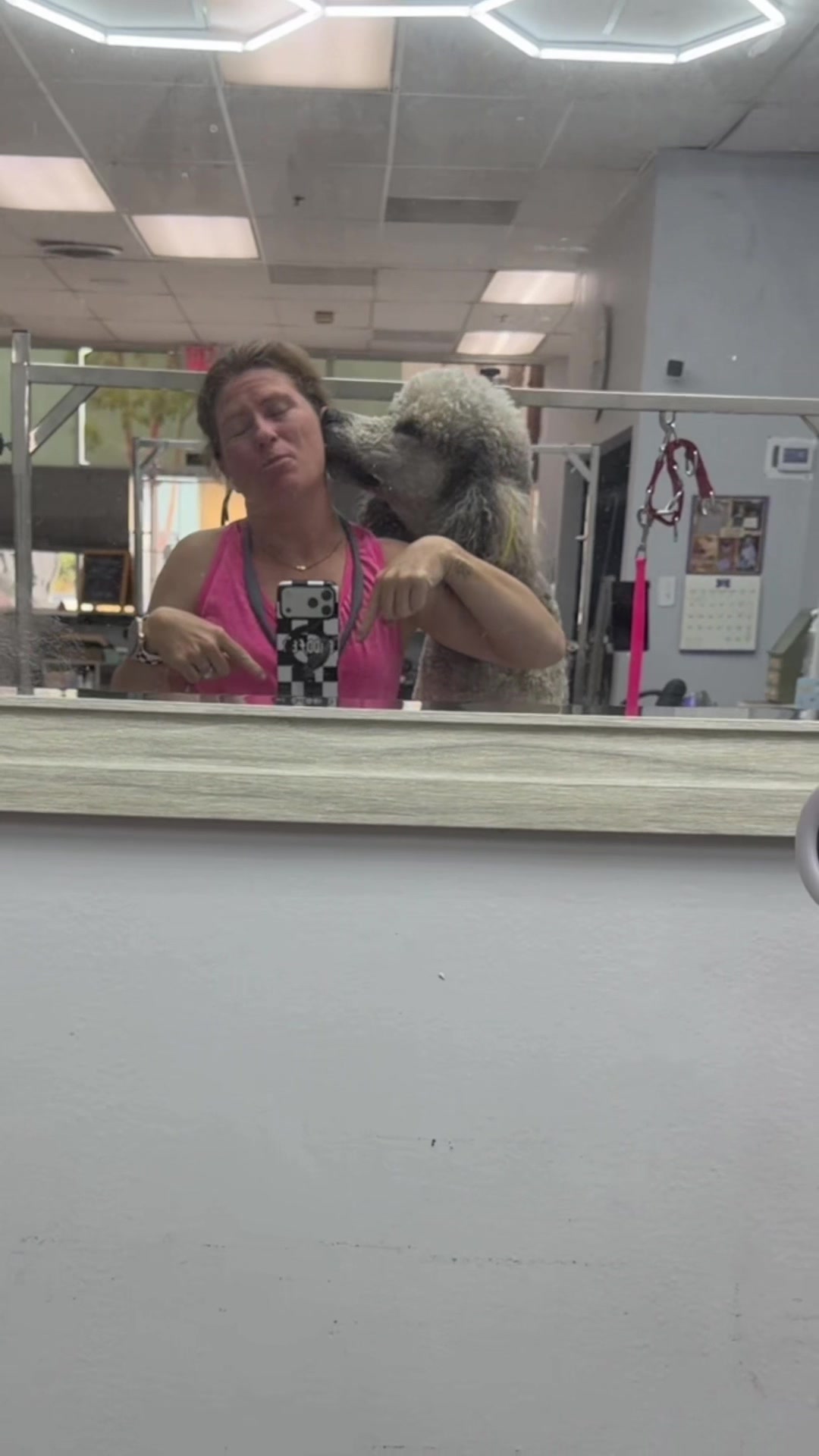 @Gadget groomer