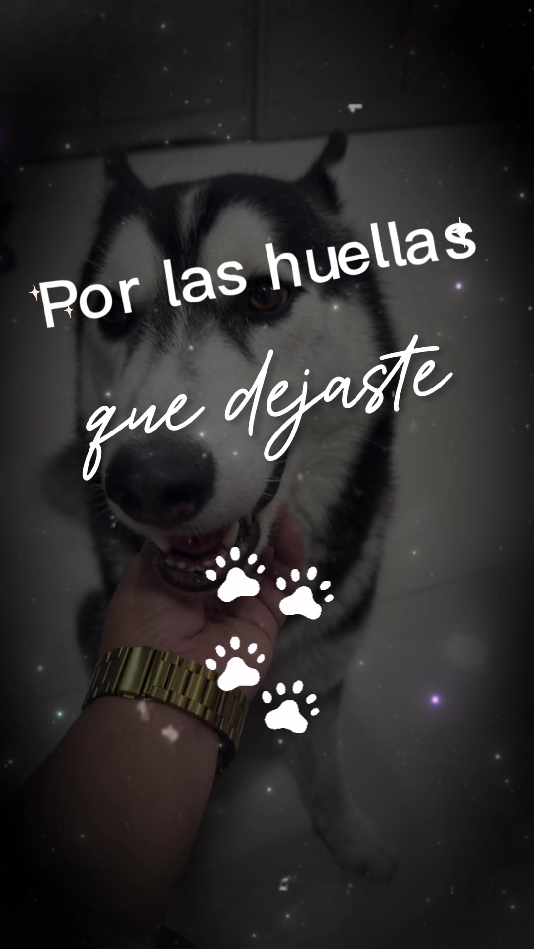 @Analía 🥰