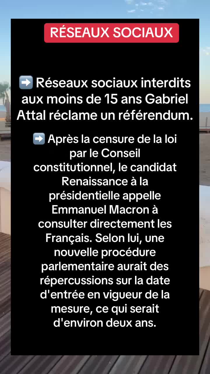@🌼 Infonews 🌼