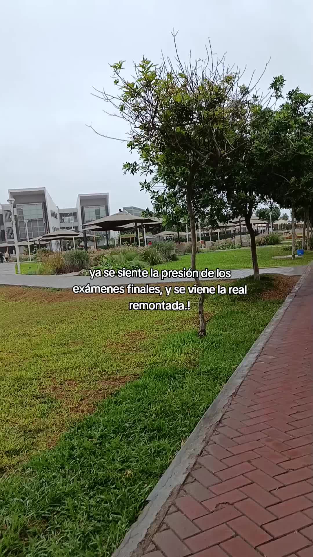 @siempre_luz