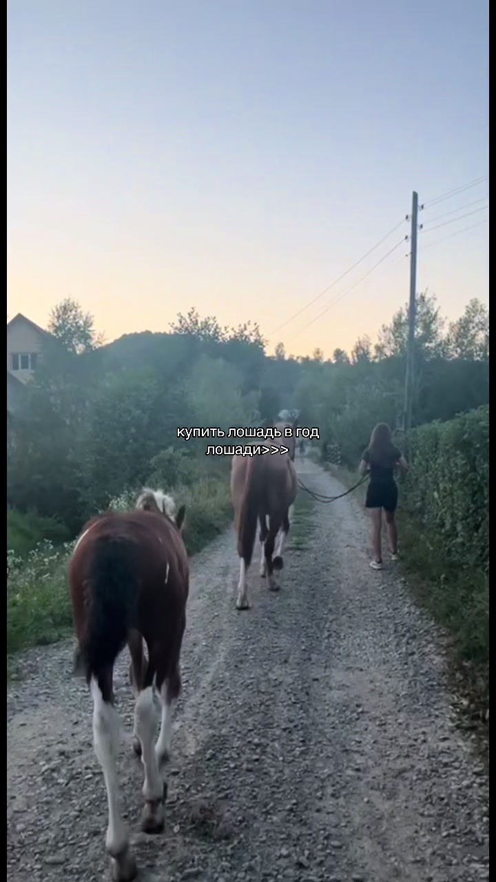 @тгк-Manix_zh