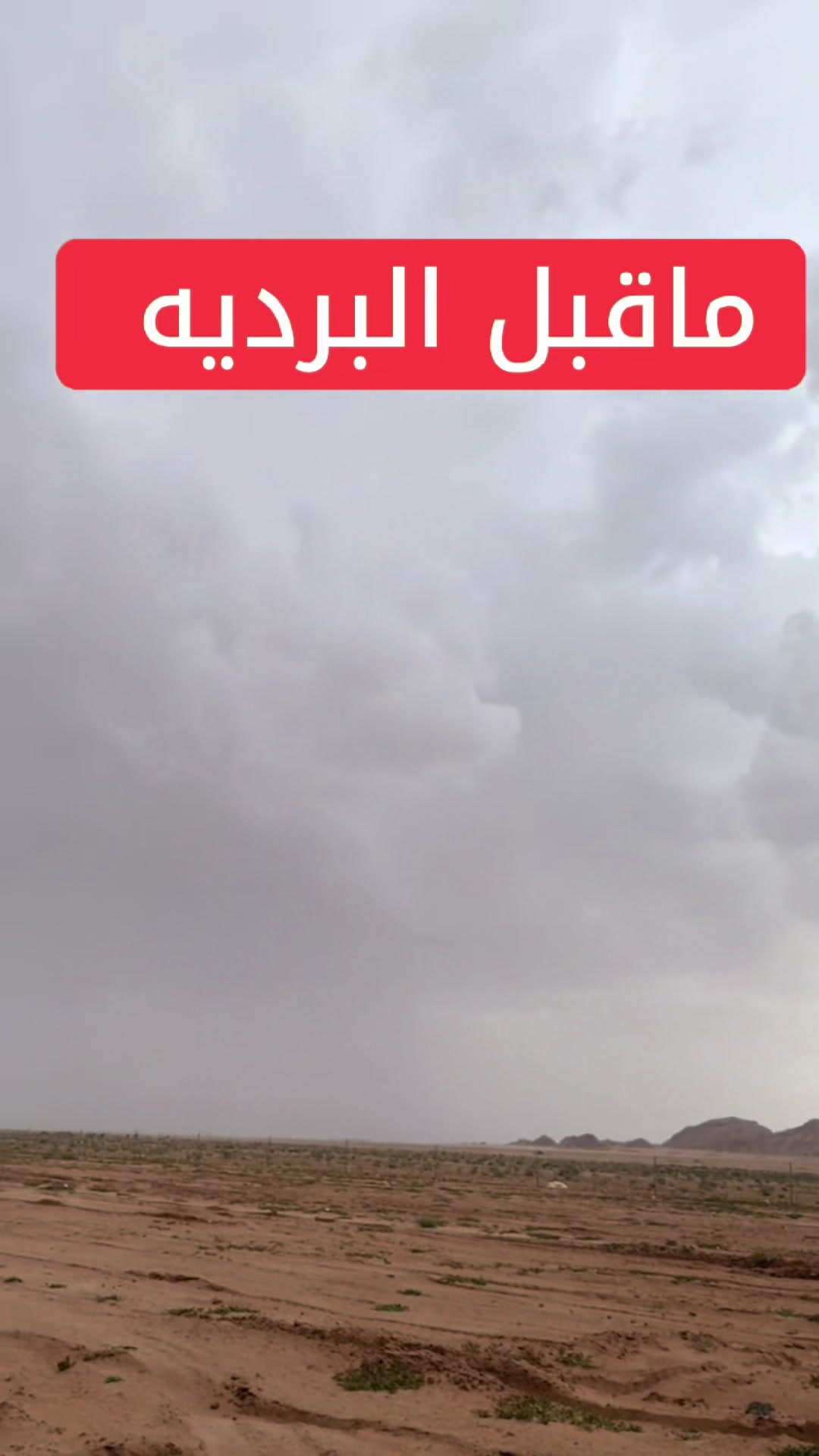 @كُاسه شاهيہ🫖