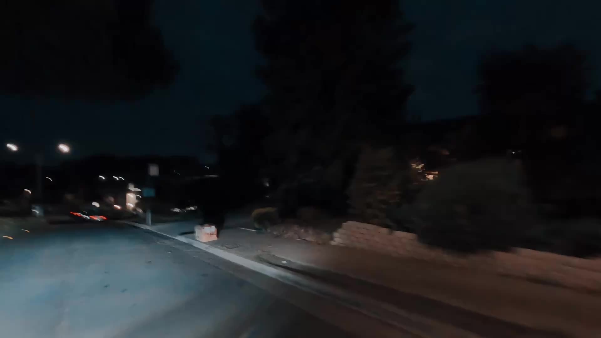 @trippytrails707