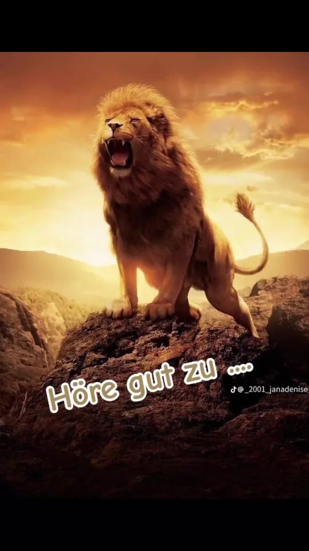 @🚨Felix🚨