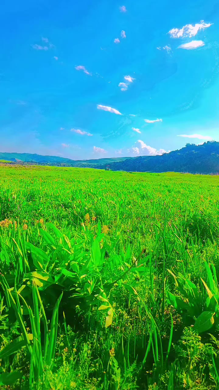 @Şahin Din&ccedil;er