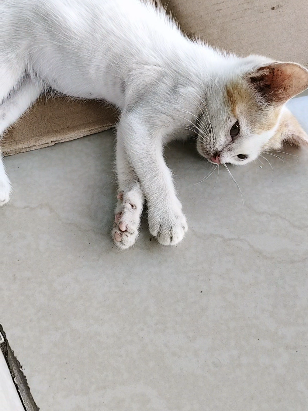 @FONZA KEBUMEN