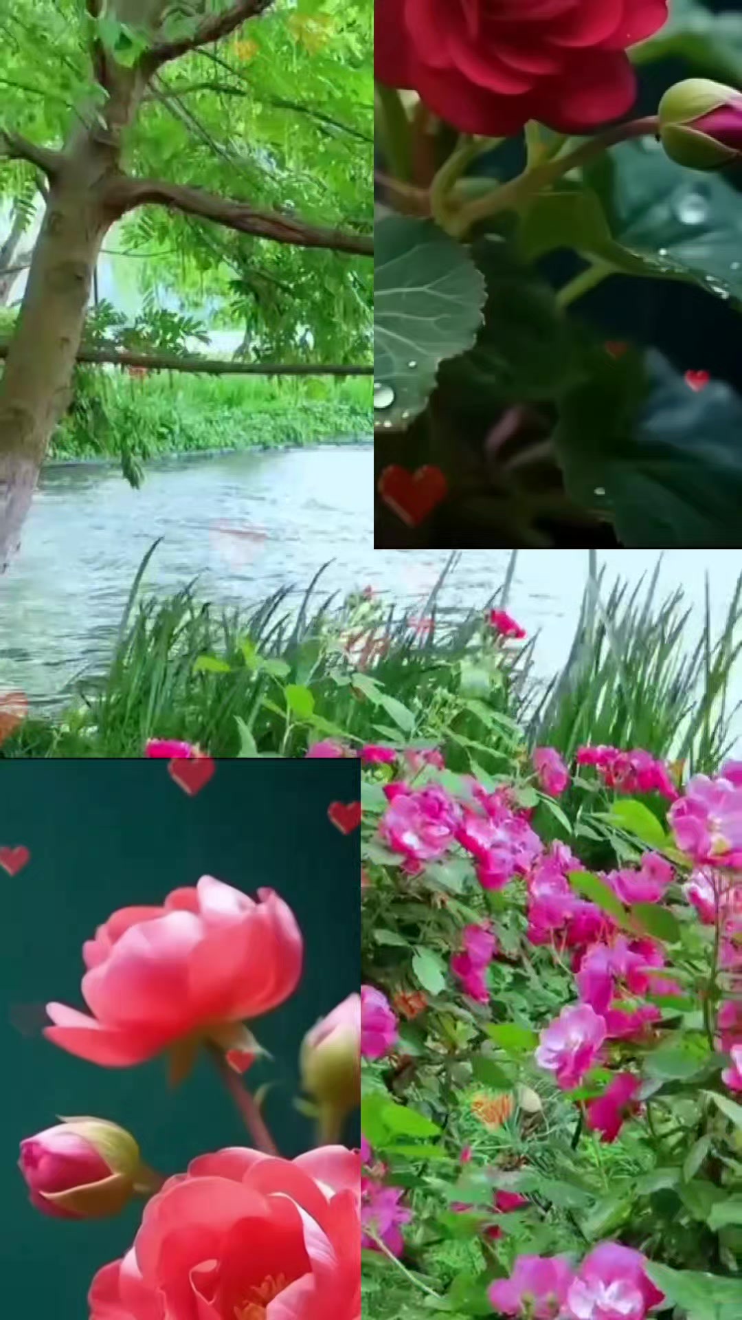 @A..AĞDAMLI⚘🇦🇿