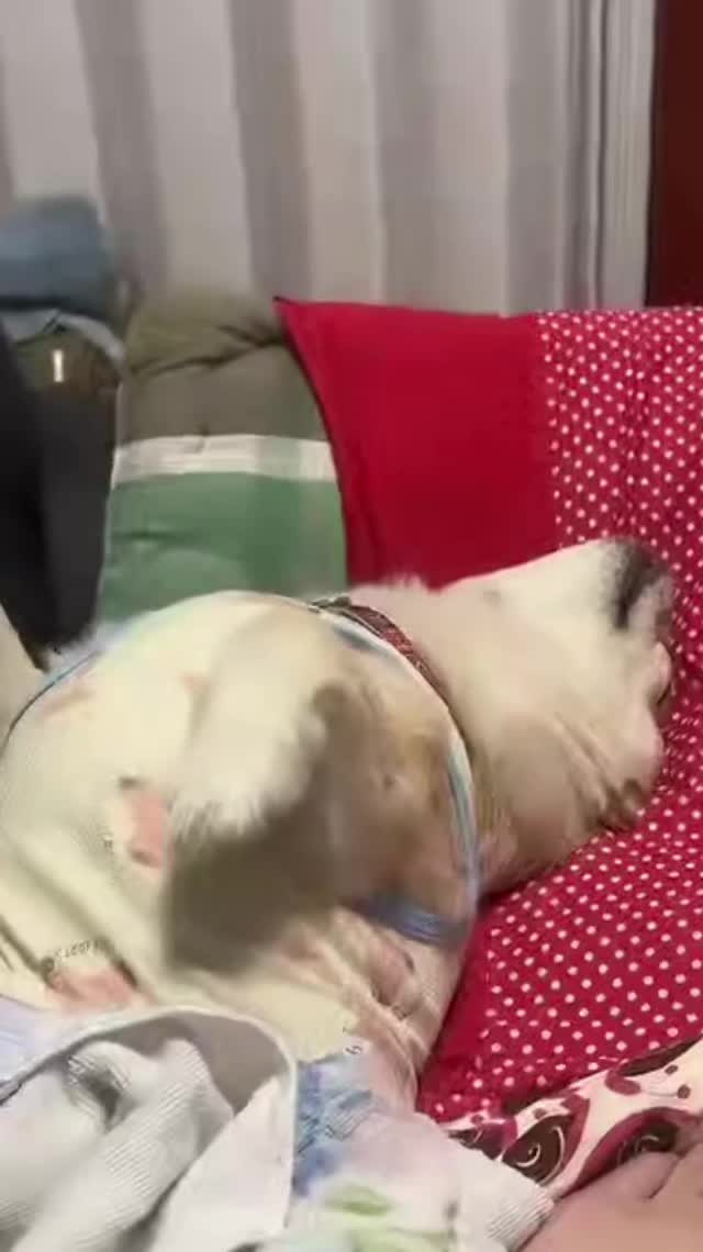 @๐ซกใใฃใกใใ๐๐๐