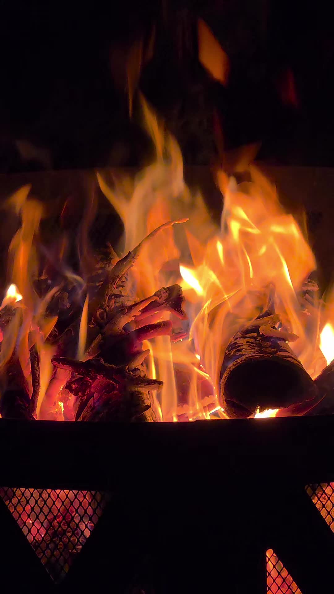 @therevolution