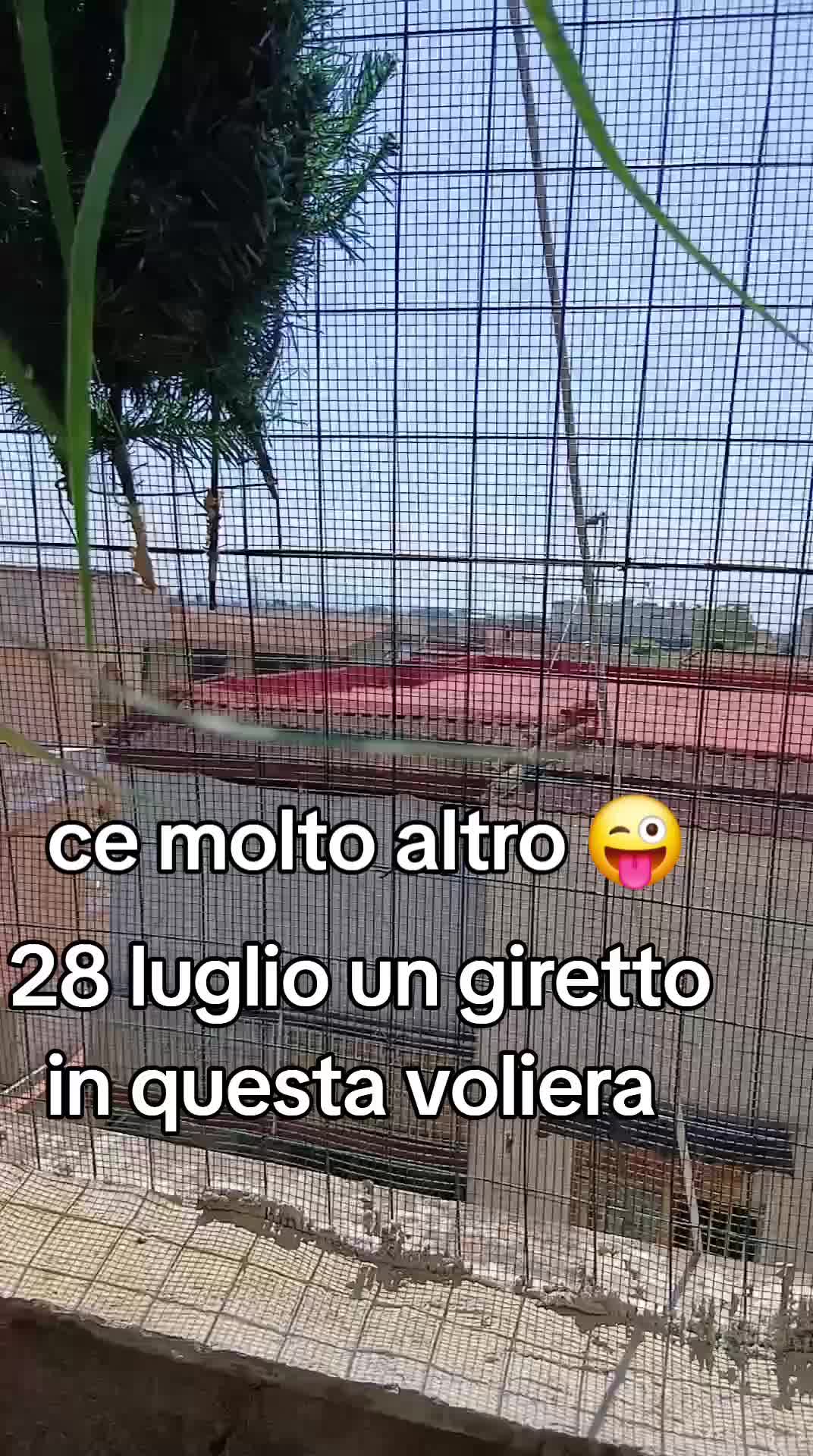 @Leonardo Dellacorte