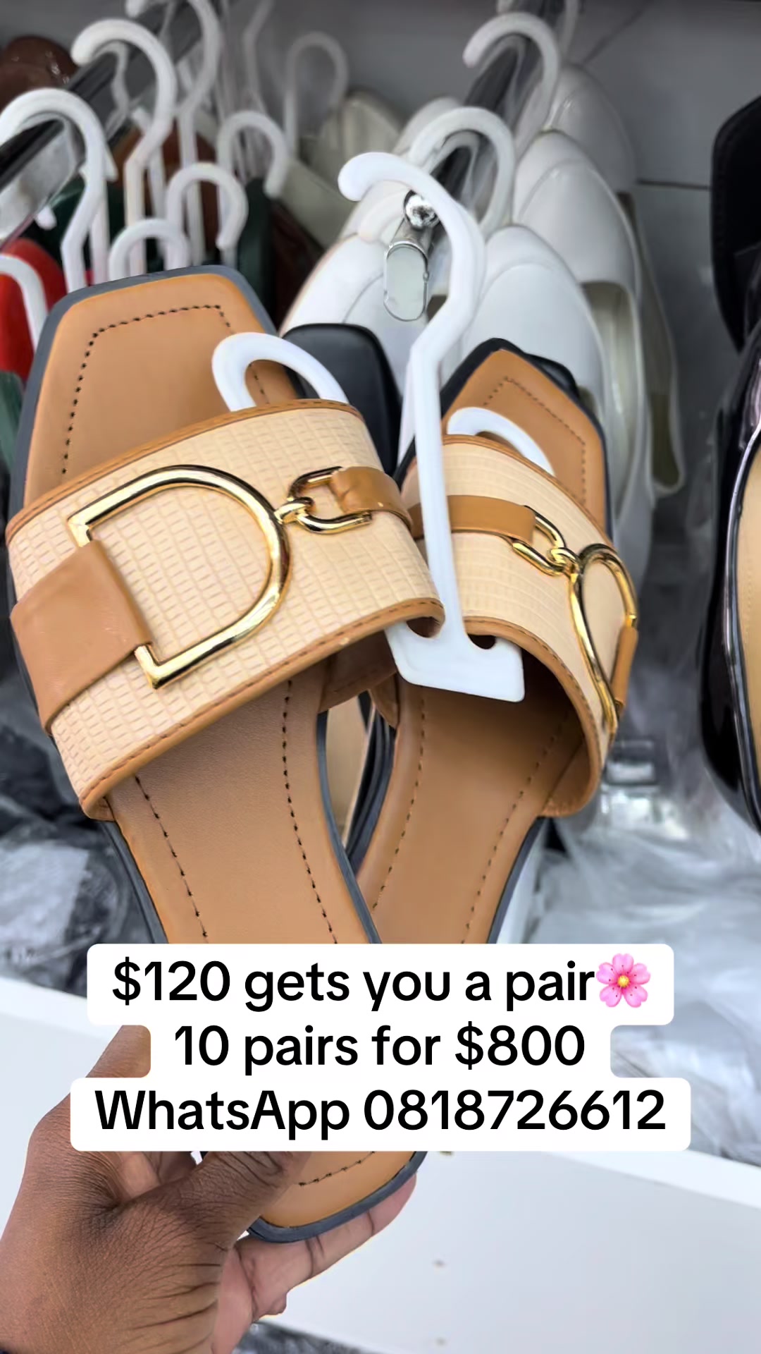 @BlessedPath_Investment_Cc💗