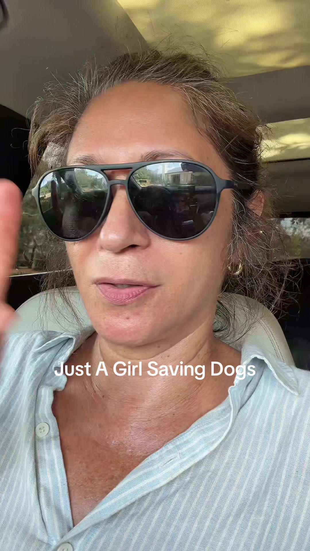 @Just A Girl Saving Dogs