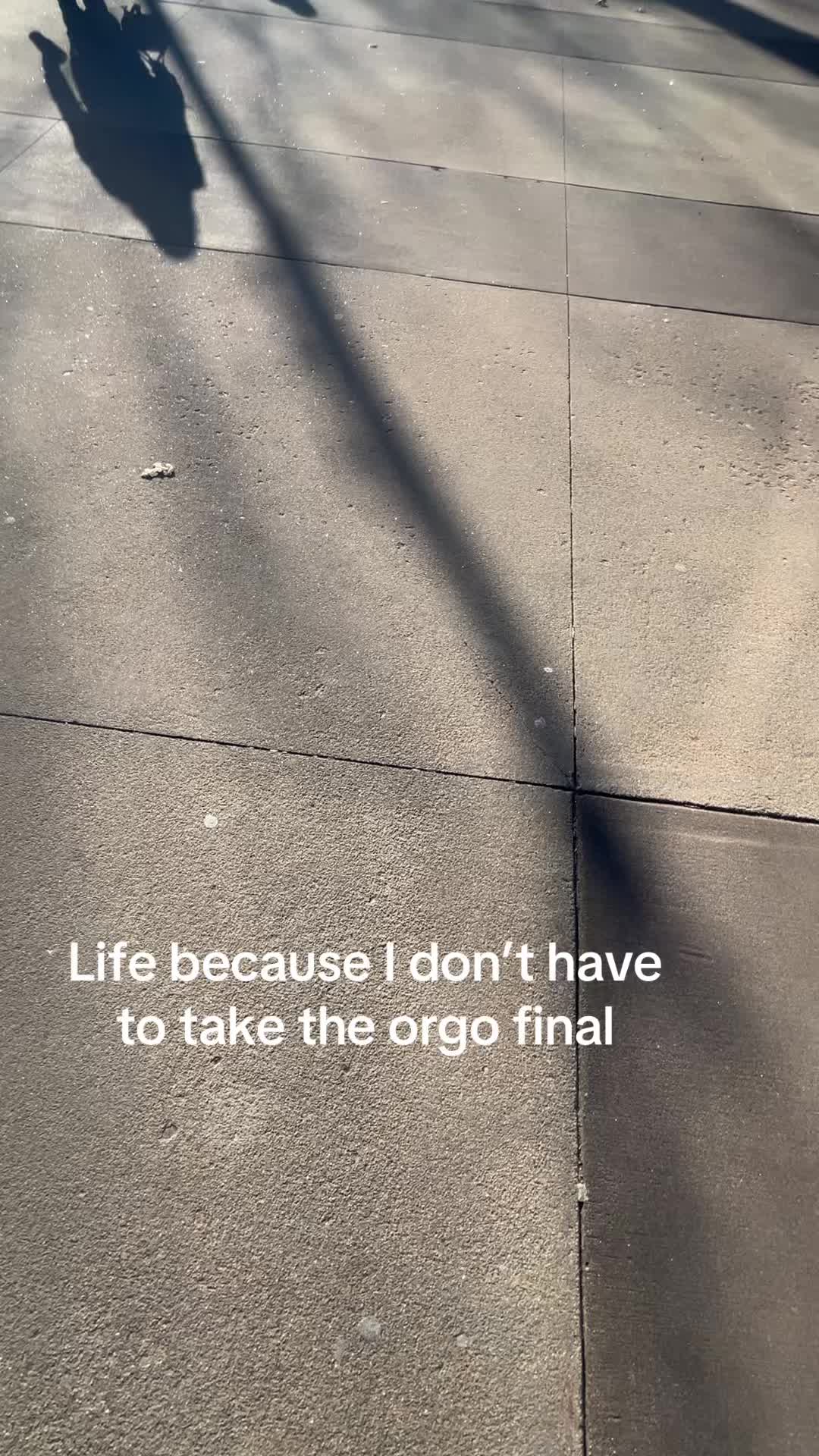 @elleohelle.lol