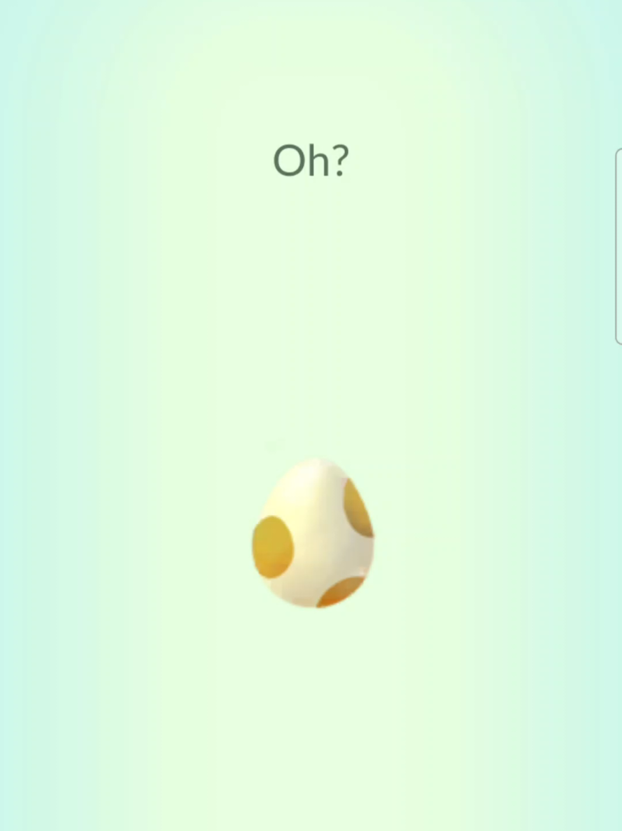 @Pokemon Playtimez - Nat