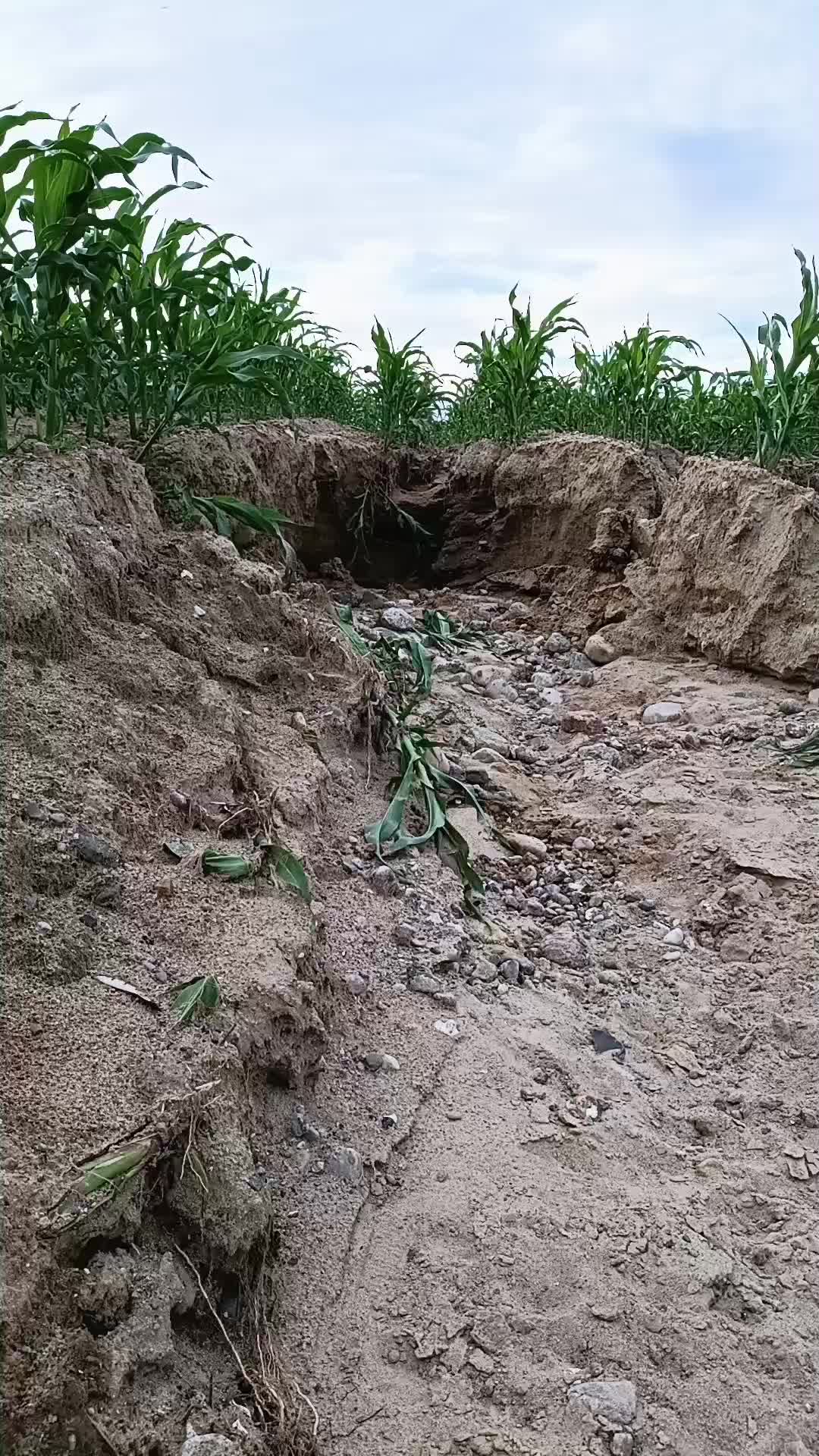 @FarmPmi